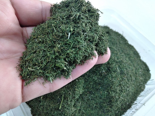 شوید خشک خانگی شمال باعطری دل انگیز وطعمی کم نظیر