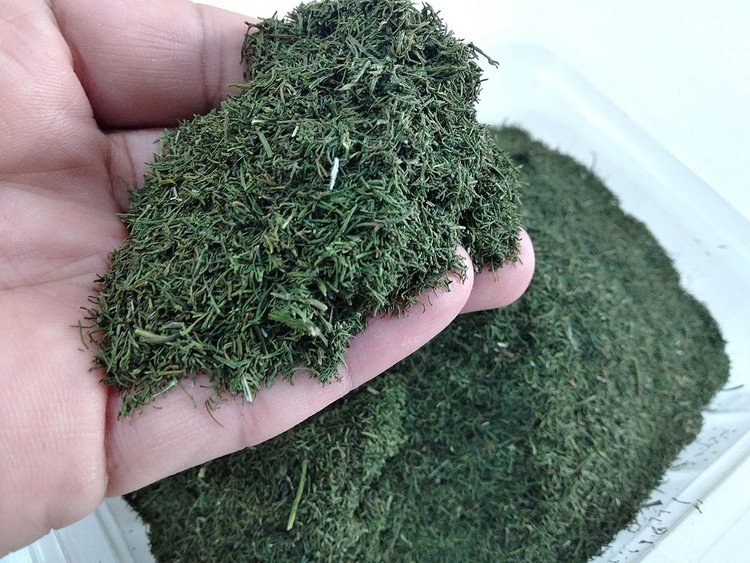 شوید خشک خانگی شمال باعطری دل انگیز وطعمی کم نظیر