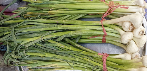 سیرتازه خوراک لذیذ سفره های شمال