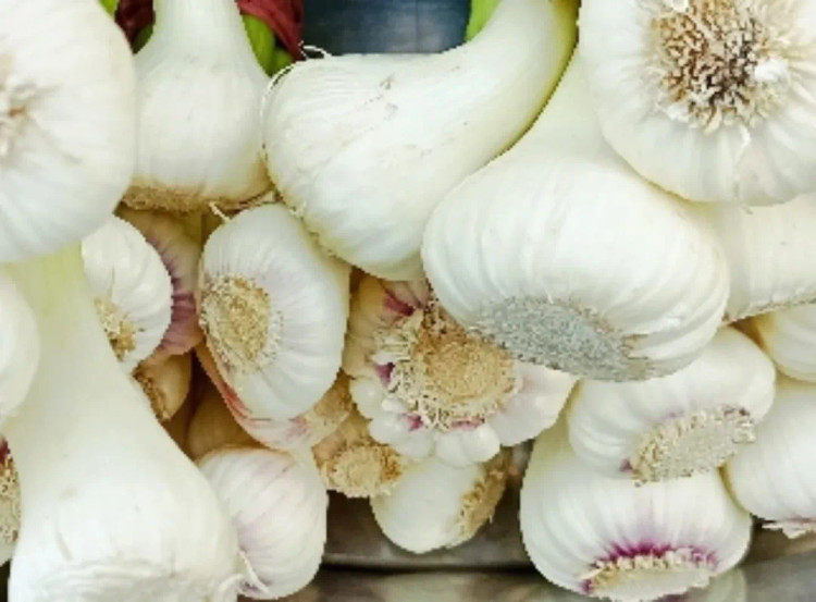 سیرپاک شده بدون برگ سیر و باقلا، عطر بهار در سبزه میدون!