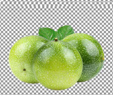 خواص آنتیاکسیدانی: گردو حاوی آنتیاکسیدانهای قوی است