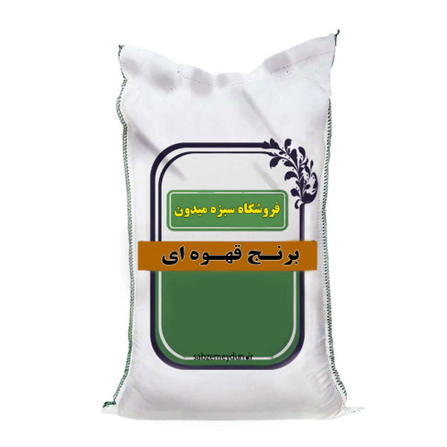 برنج قهوهای: انتخابی سالم و مغذی برای سبک زندگی بهتر