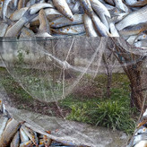 تور پرتابی دست بافت گیلان مخصوص کولی گیری رودخانه ای