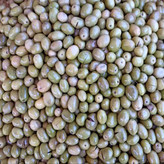 زیتون یکی از میوههای پرطرفدار و مفید است که از درخت زیتون (Olea europaea) به دست میآید