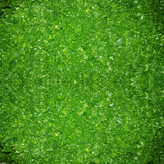 سبزی آش یکی از اجزای اصلی و مهم در تهیه انواع آشهای ایرانی است