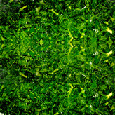 سبزی پلوی شمالی – ترکیبی معطر و اصیل برای سبزی پلو ایرانی