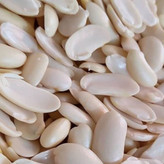 باقالی خشک کشاورزی(پاچ باقلا رشتی)