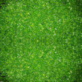 خورشت ترش تره یکی از غذاهای سنتی و محبوب استان گیلان است که به دلیل طعم ترش و عطر سبزیهای محلی،