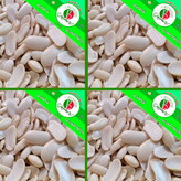 باقالی خشک کشاورزی(پاچ باقلا رشتی)