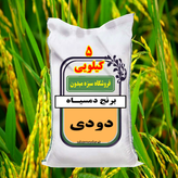 برنج دمسیاه دودی مزارع گیلان زمین خوش عطر وپخت عالی