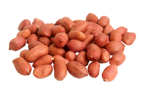 بادام زمینی یکی از مغزیجات محبوب و مغذی است که خواص فراوانی برای سلامتی دارد