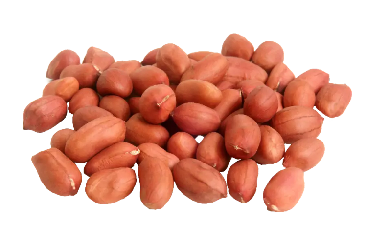 بادام زمینی یکی از مغزیجات محبوب و مغذی است که خواص فراوانی برای سلامتی دارد