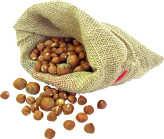 فندوق بوداده شمال ارتفاعات رودسرگیلان تازه وخوش مزه