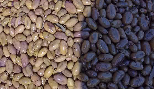 زیتون شکسته رودبار گیلان مخصوص درست کردن زیتون پرورده