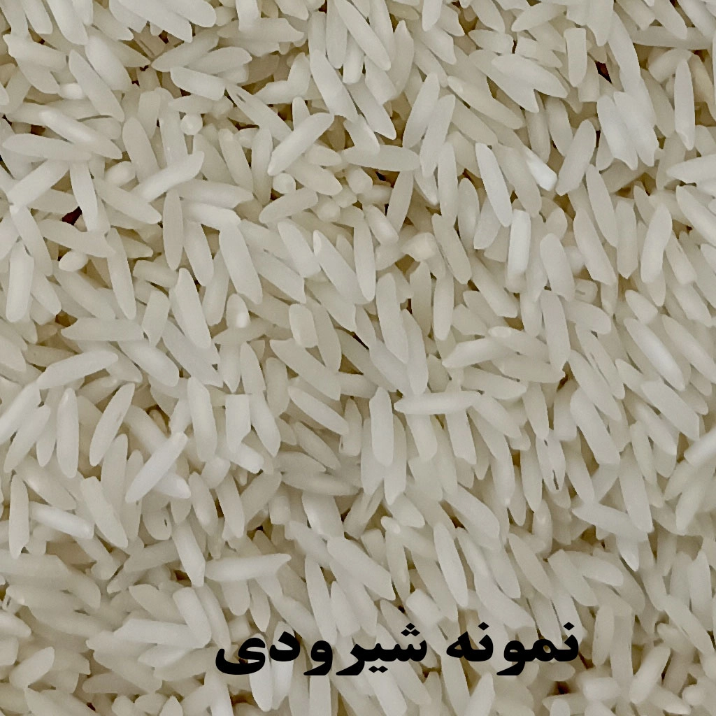 برنج شیرودی یکی از انواع برنج‌های ایرانی است که برای اولین بار در استان مازندران کشت شد